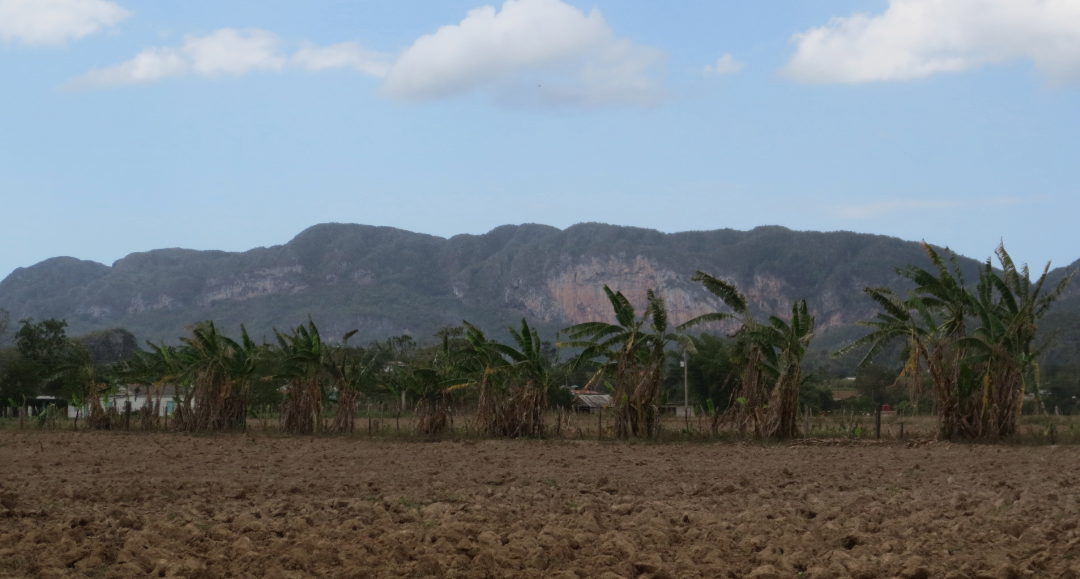 Screen Shot 2017-04-23 at 1.56.32 PM